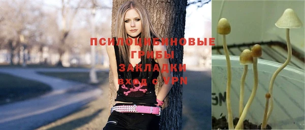 каннабис Зерноград