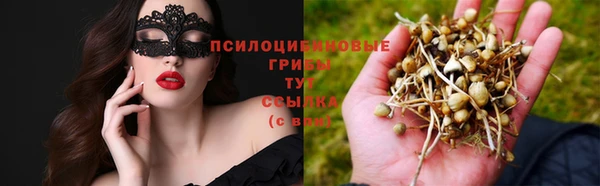 синтетический гашиш Зеленокумск